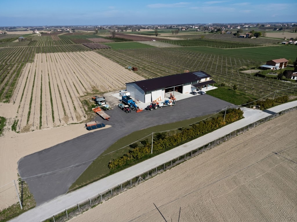 L'azienda oggi